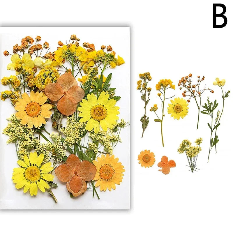 DIY Dried Flower Resin Fillings for Crafts Nail Art Decoration