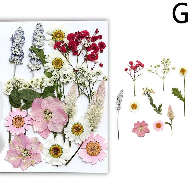 DIY Dried Flower Resin Fillings for Crafts Nail Art Decoration