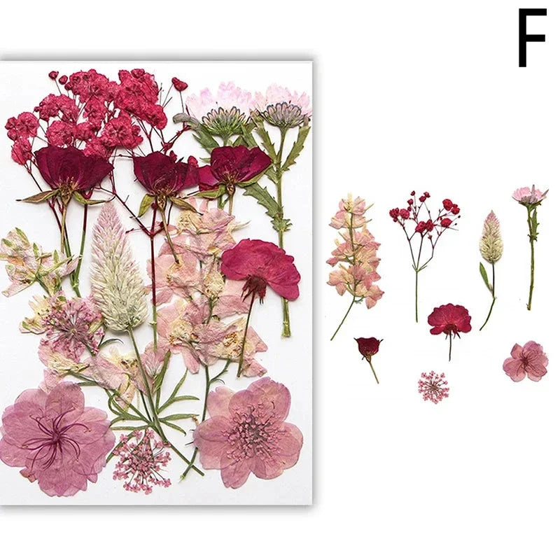 DIY Dried Flower Resin Fillings for Crafts Nail Art Decoration