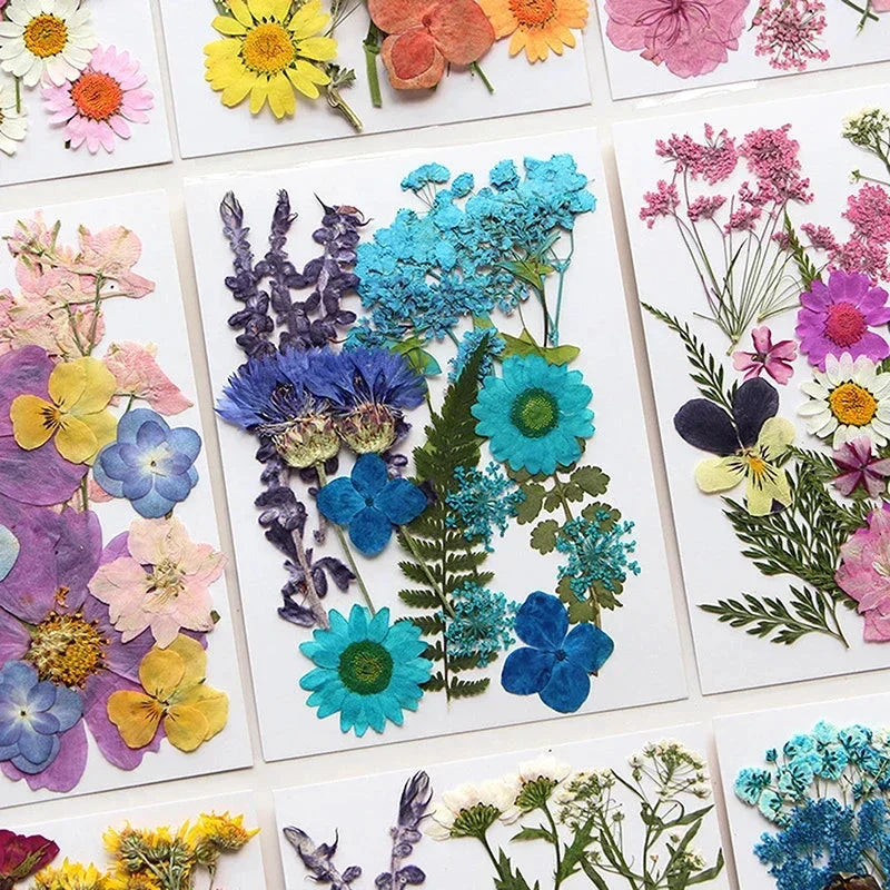 DIY Dried Flower Resin Fillings for Crafts Nail Art Decoration