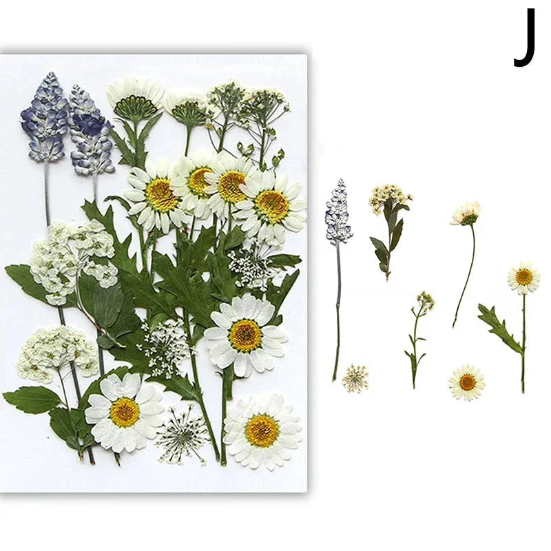 DIY Dried Flower Resin Fillings for Crafts Nail Art Decoration