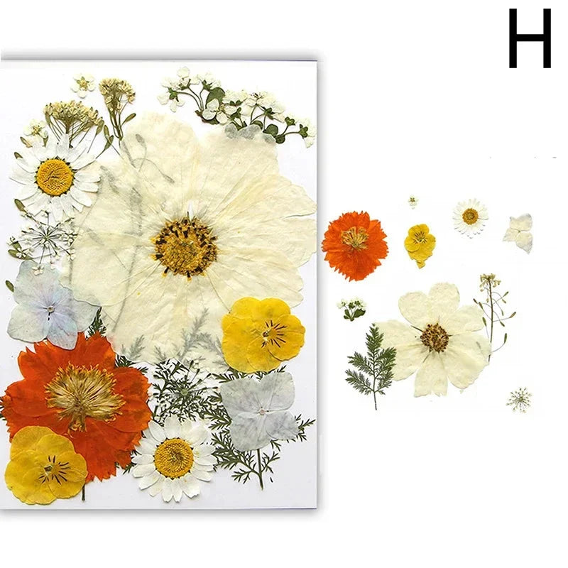 DIY Dried Flower Resin Fillings for Crafts Nail Art Decoration