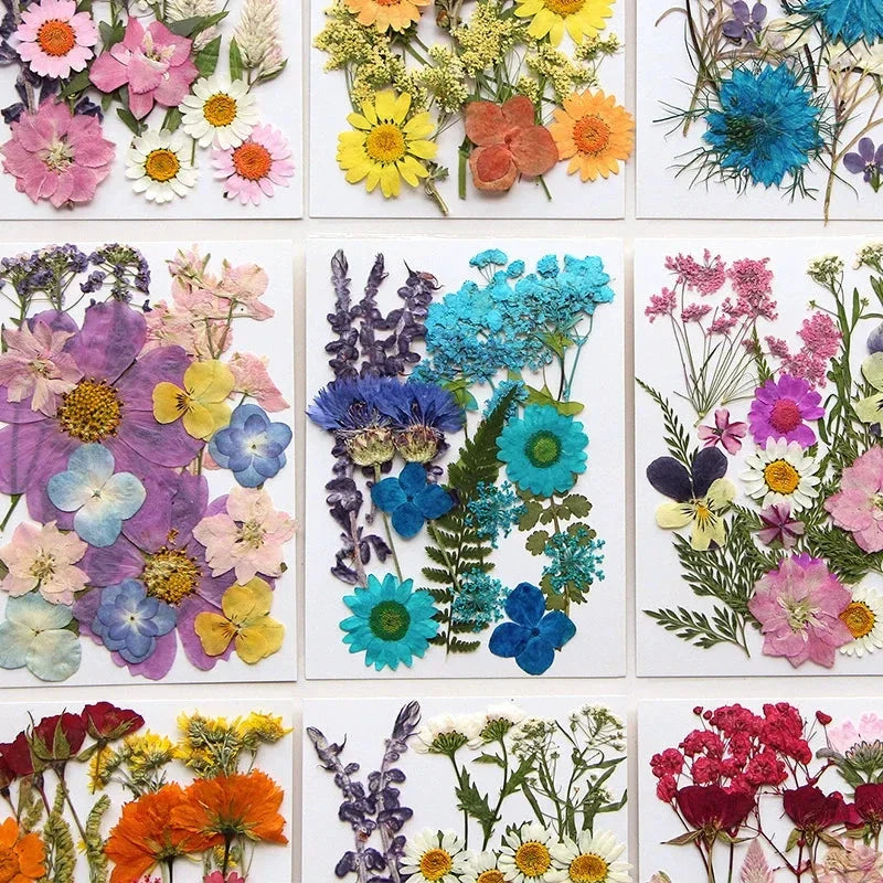 DIY Dried Flower Resin Fillings for Crafts Nail Art Decoration