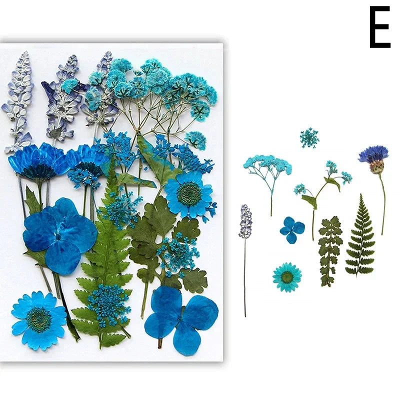 DIY Dried Flower Resin Fillings for Crafts Nail Art Decoration