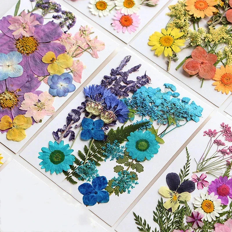 DIY Dried Flower Resin Fillings for Crafts Nail Art Decoration