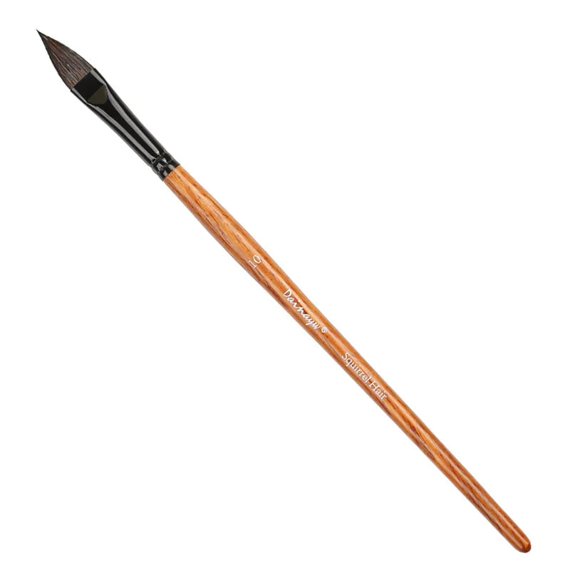 Oval Squirrel Hair Watercolor Mop Brush for Artists