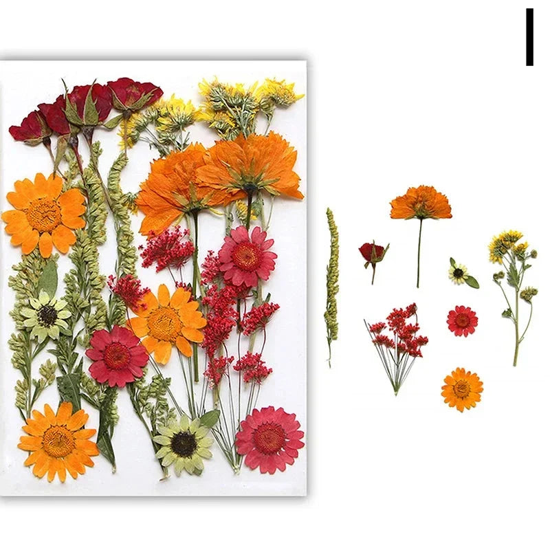 DIY Dried Flower Resin Fillings for Crafts Nail Art Decoration