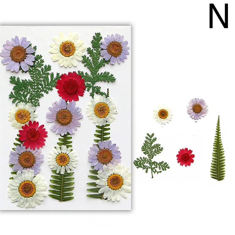 DIY Dried Flower Resin Fillings for Crafts Nail Art Decoration